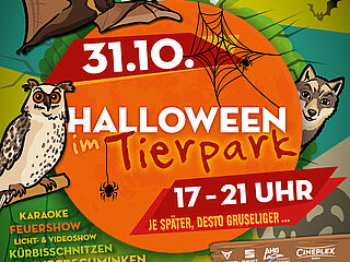 PM 64-2024 Halloween im Tierpark_Plakatmotiv